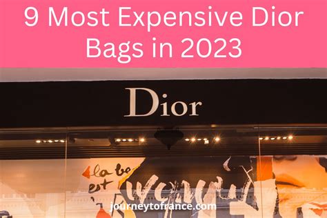 what makes dior so expensive|most expensive Dior bag.